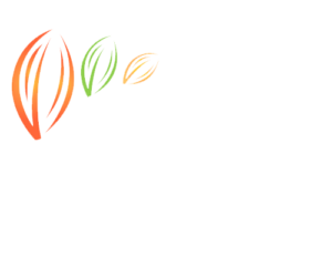 Julien Gayraud Artisan Chocolatier Albi