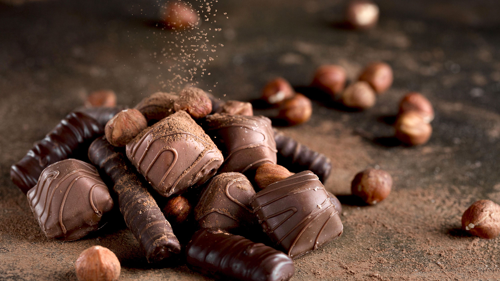 Julien Gayraud chocolatier albi